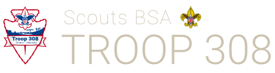 Scouts BSA Troop 308
